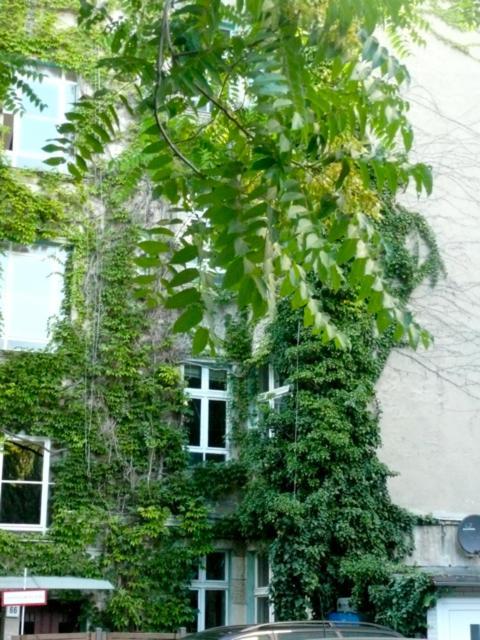 City * Berlin